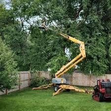 Best Tree Cabling and Bracing  in Huntington Station, NY